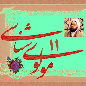مولوی شناسی11/ آیا اشعار مولوی برای امام علی(ع) به معنای شیعه بودن اوست>